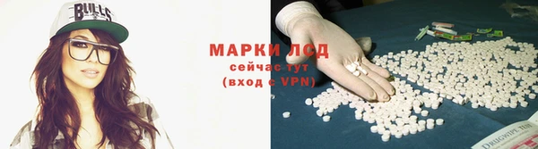 эйфоретик Аркадак