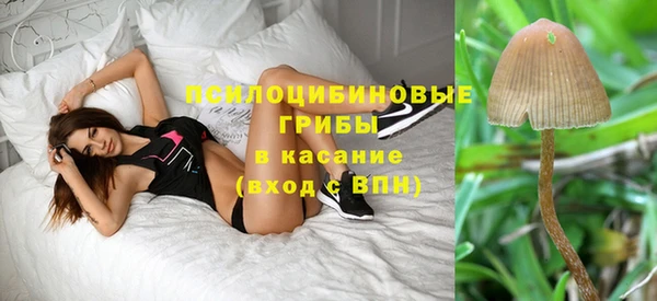 эйфоретик Аркадак